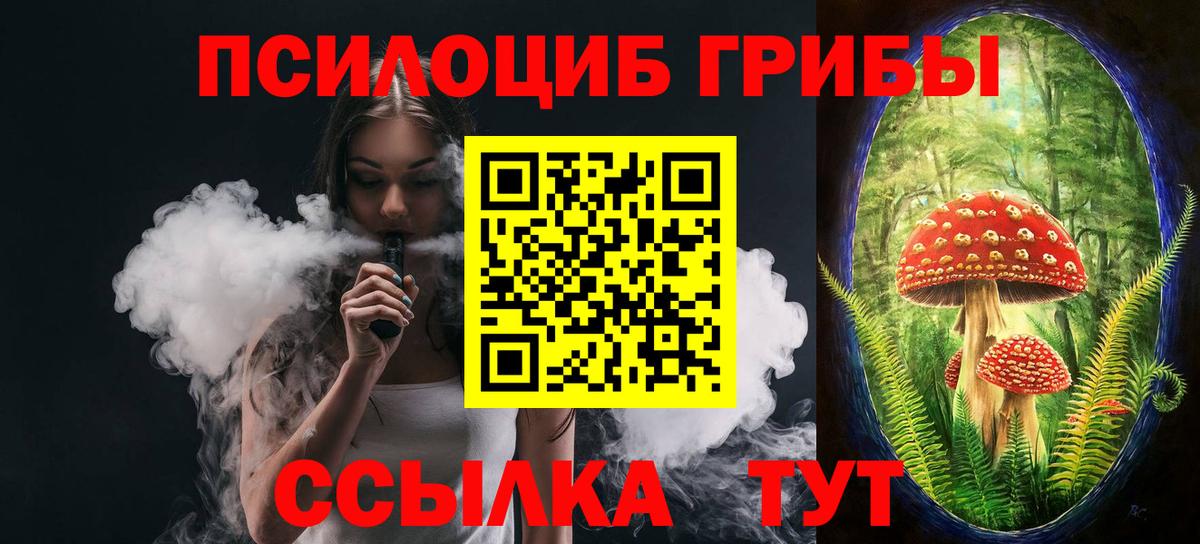Галлюциногенные грибы GOLDEN TEACHER  Вход с VPN  Дмитров 