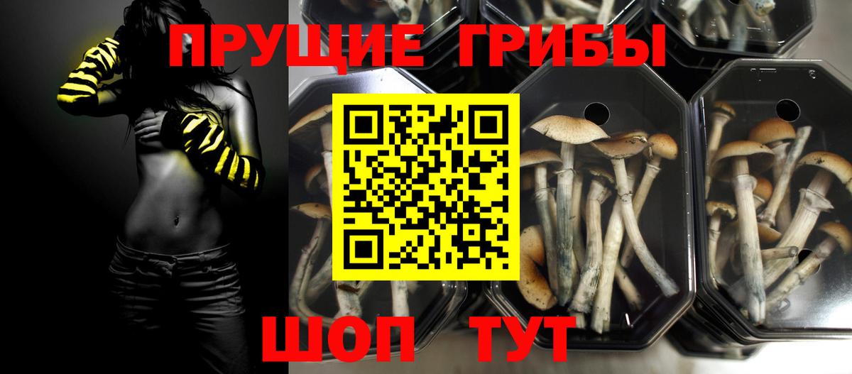 Галлюциногенные грибы мицелий Дмитров